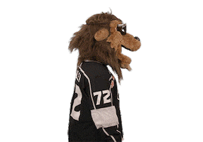 Ice Hockey Sticker by NHL