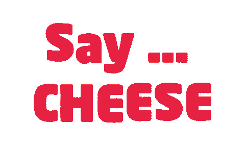 Say Cheese Sticker by von Mende Marketing
