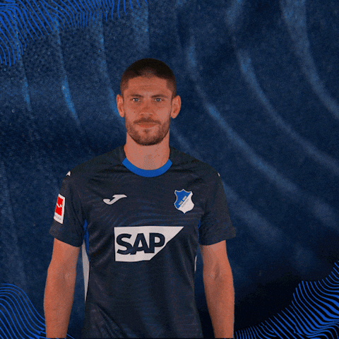Andrej Kramaric Sport GIF by TSG Hoffenheim