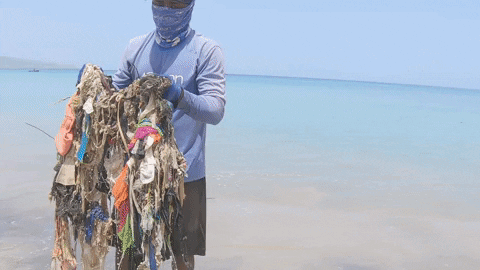 Earth Day GIF by 4ocean