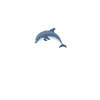 MiamiSeaquarium miami dolphin flipper miami seaquarium Sticker