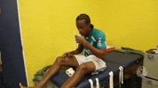 ata ok GIF by SE Palmeiras