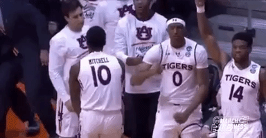 College Basketball Sport GIF by NCAA March Madness
