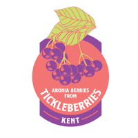 Drinks Berries Sticker by Square Root Soda