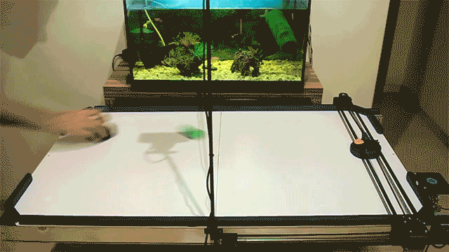 vs machine GIF