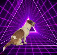 bobby GIF by TGV INOUI