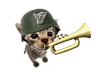 Cat Kitty Sticker
