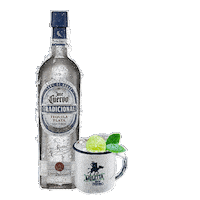 Jose Cuervo Tradi Sticker by Licor 43 Mexico