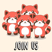 Join Us Red Panda GIF