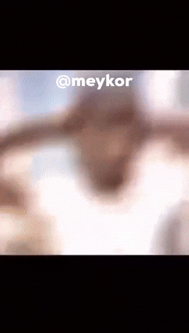 Meykor GIF