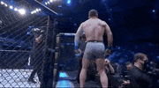 Sport Mma GIF by UFC