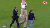 easter bunny football GIF by KV Kortrijk
