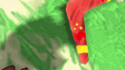 Equip Pick Up GIF by TY the Tasmanian Tiger