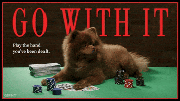 GIPHY PSA Go With It