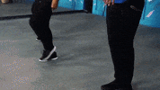 hipshakefitness  GIF