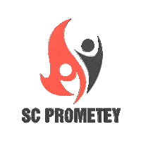 PROMETEYVC prometey meliushkyn prometeyvc Sticker