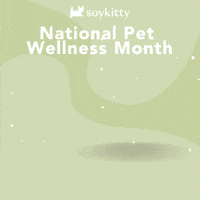 International Cat Day GIF by SoyKitty