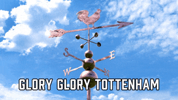Tottenham Hotspur Football GIF by Sealed With A GIF
