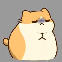 Angry Cat GIF by Bichi Mao