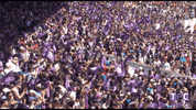 ligue 1 soccer GIF by Toulouse Football Club
