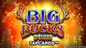 Evolution Tapcards GIF by Big Time Gaming