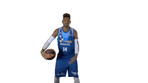 Liga Endesa Basketball Sticker by ACB