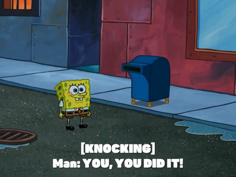 season 5 GIF by SpongeBob SquarePants