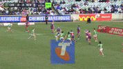 Try Nrl GIF by Canberra Raiders
