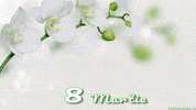 Mothers Day Mother GIF by echilibrultau