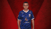 Hansa Rostock Vbl GIF by Bundesliga