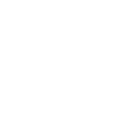 New Year Star Sticker