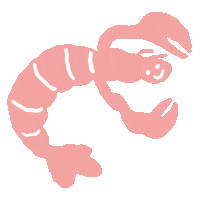 Lobster Sticker by limpetstore
