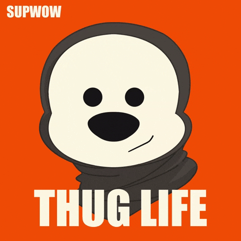 supwow giphyupload fun meme cool GIF