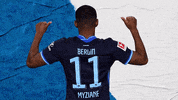 Bundesliga Berlin GIF by Hertha BSC