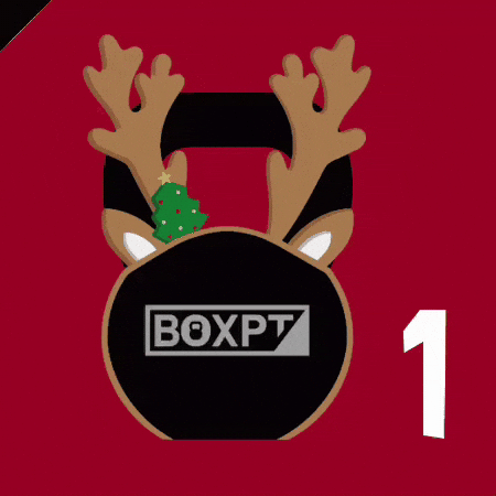 boxpt_equipment  GIF