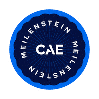 German Deutsch Sticker by CAE