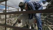 balls deep GIF by BALLS DEEP with Thomas Morton