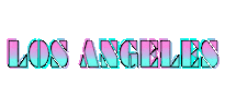 los angeles pink Sticker by AIRVOID