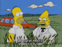 homer simpson episode 10 GIF