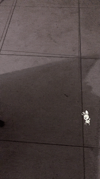 Inov9consultoria yhgj GIF