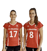 Eurovolley Swissvolley Sticker by NUCVolleyball