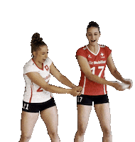 Eurovolley Swissvolley Sticker by NUCVolleyball