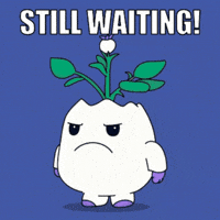 Bored Still Waiting GIF by Magic Eden