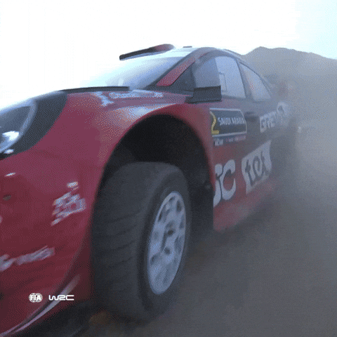 Saudi Arabia Omg GIF by FIA World Rally Championship