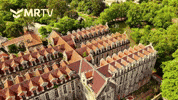 Caldas Da Rainha Portugal GIF by Mr Urbina