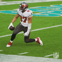 Happy Regular Season GIF by NFL