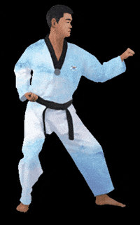 Martial Arts Sport GIF by vank