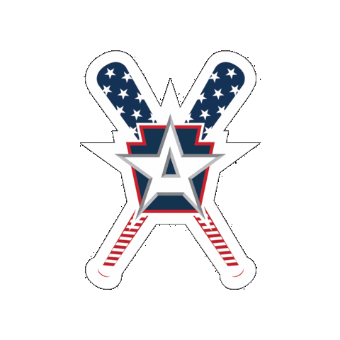 Pit Sticker by All American Baseball