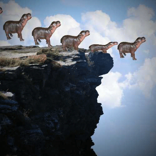 baby hippos jumping to their doom GIF