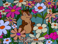 season 8 flowers GIF